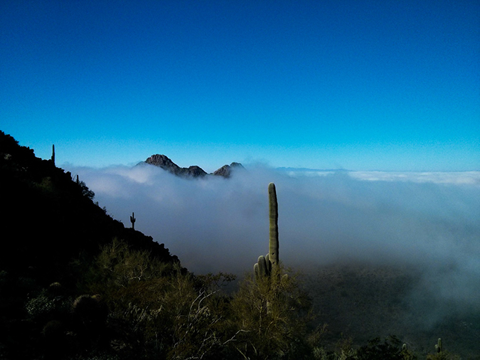 %_tempFileName2015-02-01_Dixiie_Twobit_Peak-104059%