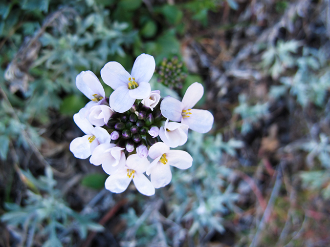 %_tempFileName2015-02-07_Reavis_Ranch_Backpack-9722%