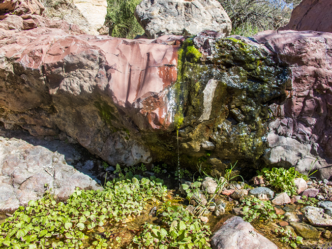 %_tempFileName2015-02-18_Dripping_Springs-9785%