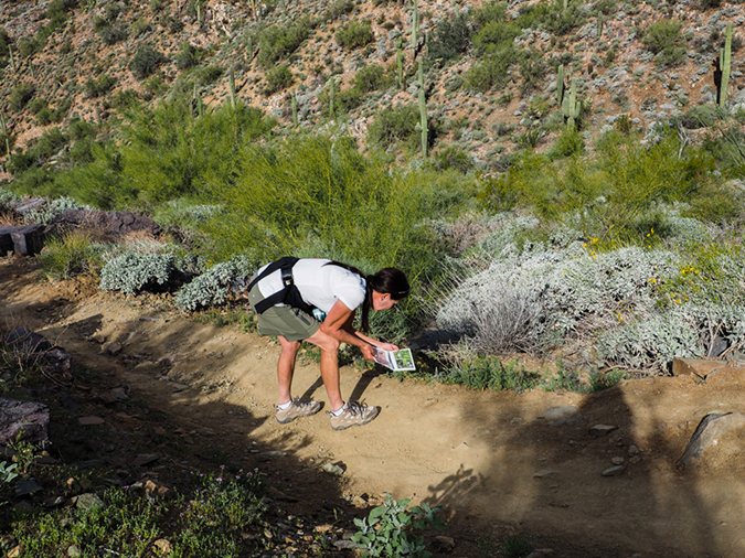 %_tempFileName2015-02-21_Gateway_Tom_Thumb-2210404%