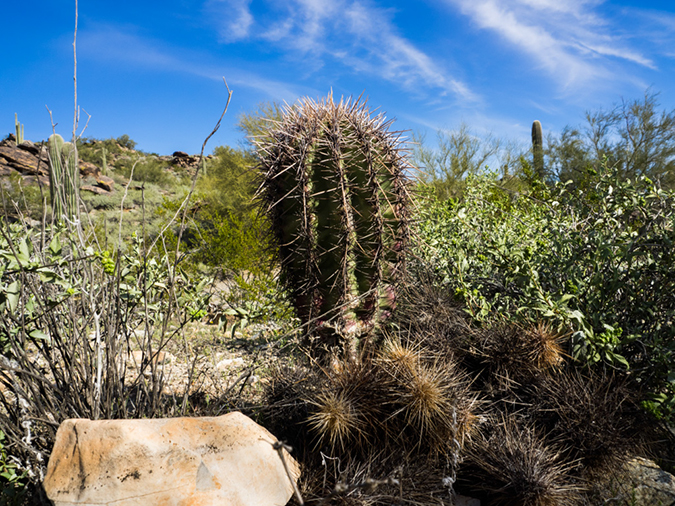 %_tempFileName2015-02-27_South_Mountain_Loop-2270499%