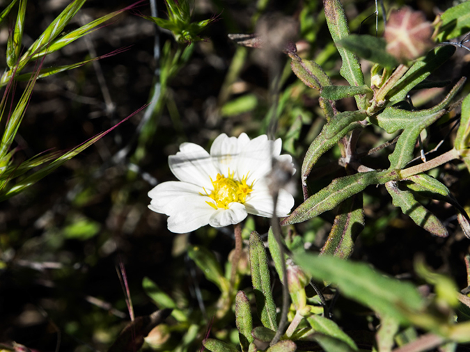 %_tempFileName2015-03-04_Superstitions_Charlebois_Backpack-3040537%