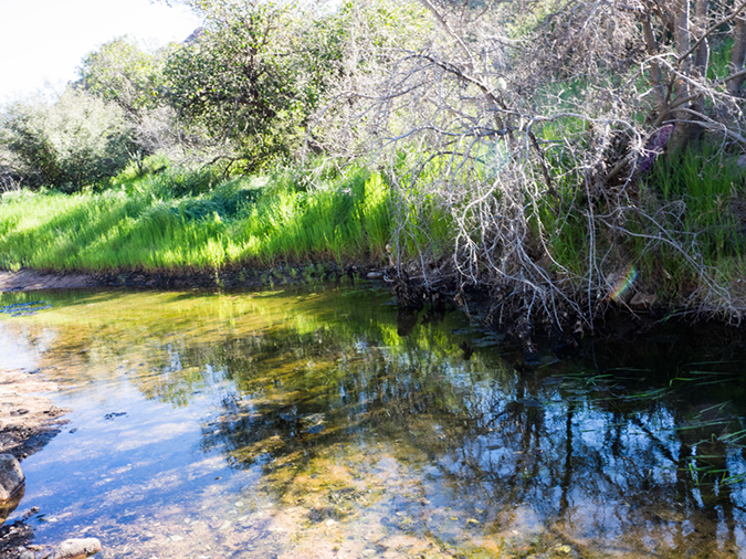 %_tempFileName2015-03-04_Superstitions_Charlebois_Backpack-3040577%