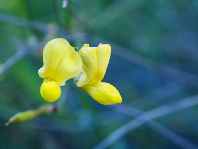 %_tempFileName2015-03-04_Superstitions_Charlebois_Backpack-3040581%