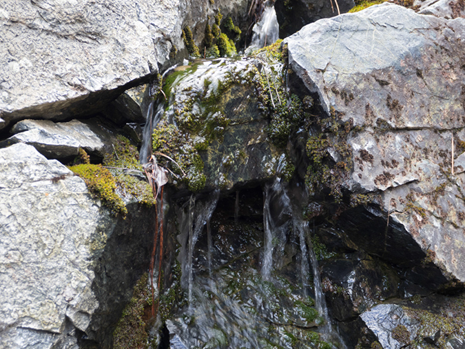 %_tempFileName2015-03-14_Prescott_NF_Trail_307-3140732%