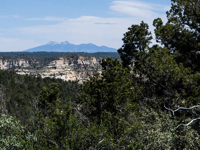 %_tempFileName2015-04-011_Sedona_Bear_Mountain-4110554%