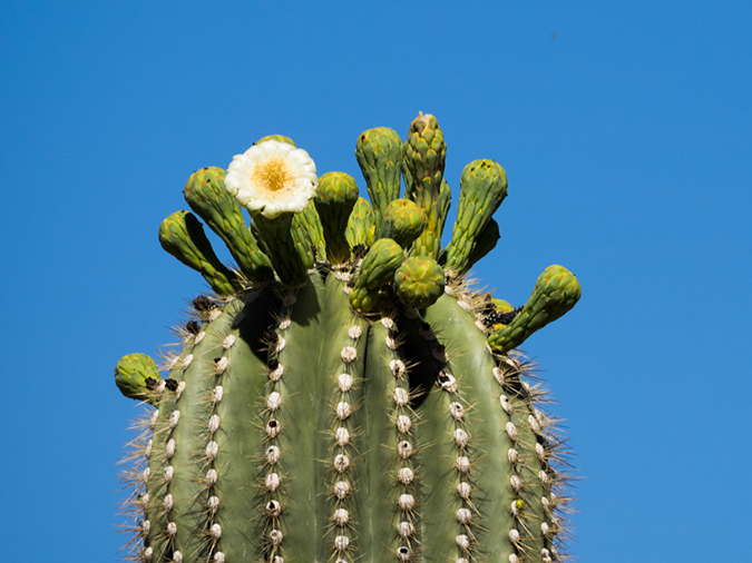 %_tempFileName2015-04-29_01_Gateway_Loop-4291431%