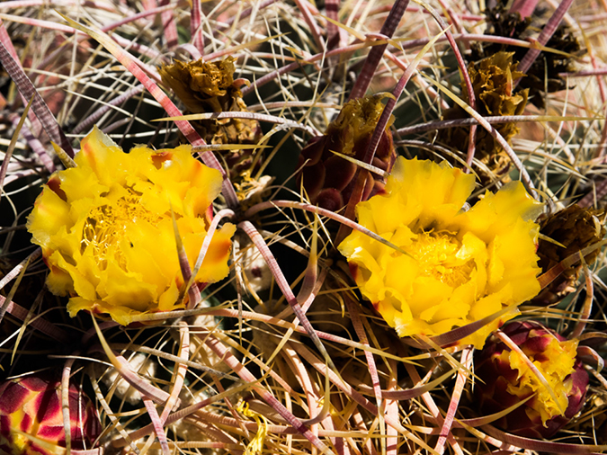 %_tempFileName2015-04-29_01_Gateway_Loop-4291439%