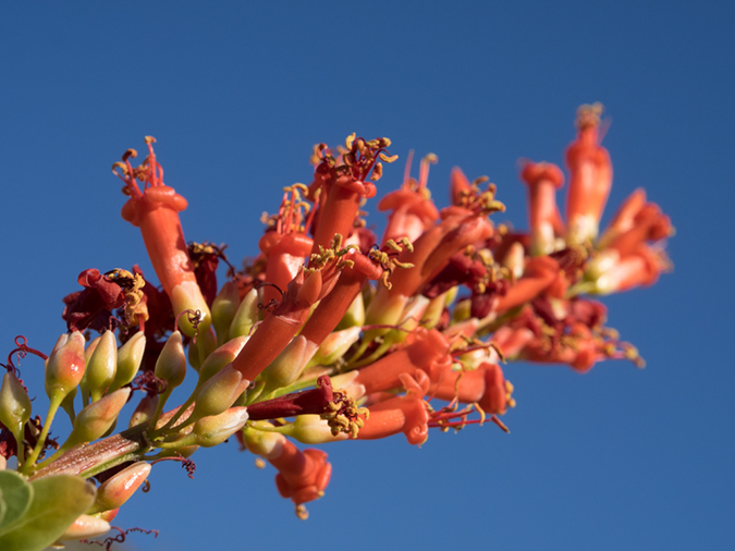 %_tempFileName2015-06-18_01_Circumference_Trail-6182249%