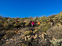 %_tempFileName2015-01-03_Vineyard_Hike-1032000%