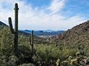 %_tempFileName2015-01-25_McDowell_Sonoran_Preserve_Desert_Loop-9627%