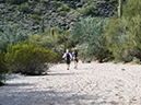 %_tempFileName2015-02-14_San_Tan_Regional_Park_Hike-9737%