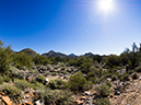 %_tempFileName2015-02-26_McDowell_Sonoran_Preserve_Desert_Loop-2250461%