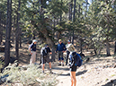 %_tempFileName2015-03-14_Prescott_NF_Trail_307-3140702%