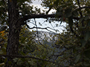 %_tempFileName2015-03-14_Prescott_NF_Trail_307-3140728%