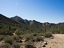 %_tempFileName2015-06-16_01_McDowell_Sonoran_Preserve_Gateway_Desert_Trail_Loop-6162245%