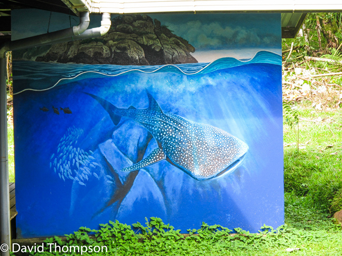 %_tempFileName2015-10-28_03__Cocos_Island_Walk-0705%