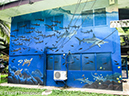 %_tempFileName2015-10-28_03__Cocos_Island_Walk-0689%