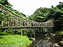 %_tempFileName2015-10-28_03__Cocos_Island_Walk-0693%