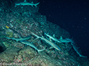 %_tempFileName2015-10-31_04_Cocos_Island_Ullaa_Bay_Night-310273%