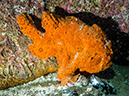 %_tempFileName2015-11_01_04_Cocos_Island_Manuelita_Shallow-010246%