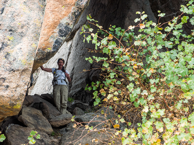 %_tempFileName2015-09-17_01_The%20Needles-9174203%