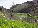 %_tempFileName2015-07-10_01_RMNP_Cub_Lake-7102754%