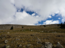 %_tempFileName2015-09-06_01_Watanga_Peak-9063990%