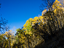 %_tempFileName2015-09-27_01_Sneffels_Highlne_Trail-030151%