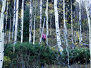 %_tempFileName2015-09-27_01_Sneffels_Highlne_Trail-030154%