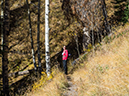 %_tempFileName2015-09-27_01_Sneffels_Highlne_Trail-030165%