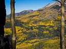 %_tempFileName2015-09-27_01_Sneffels_Highlne_Trail-030176%