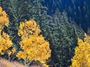 %_tempFileName2015-09-27_01_Sneffels_Highlne_Trail-030181%