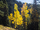 %_tempFileName2015-09-27_01_Sneffels_Highlne_Trail-030184%