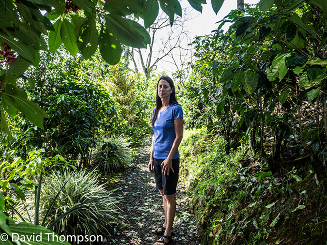 %_tempFileName2015-11_05_01_Hotel_Buena_Vista-050273%