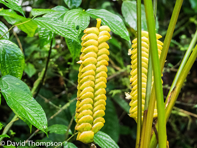 %_tempFileName2015-11_06_01_Arenal-060335%