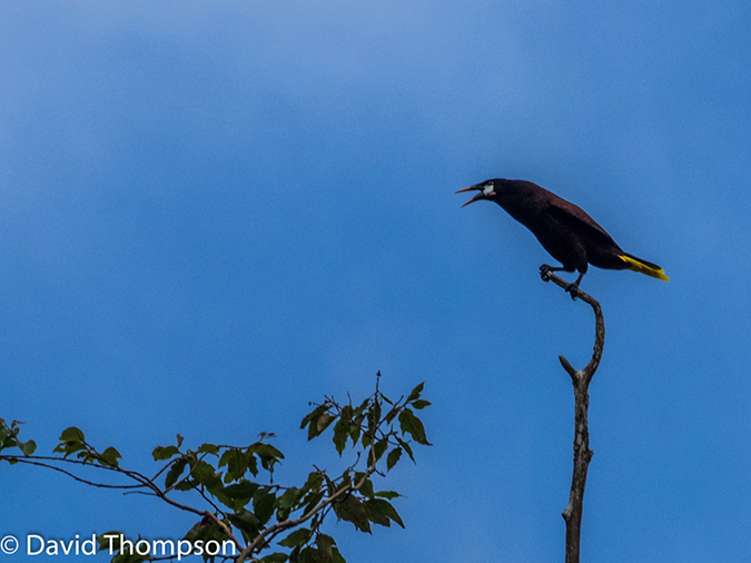 %_tempFileName2015-11_06_01_Arenal-060344%