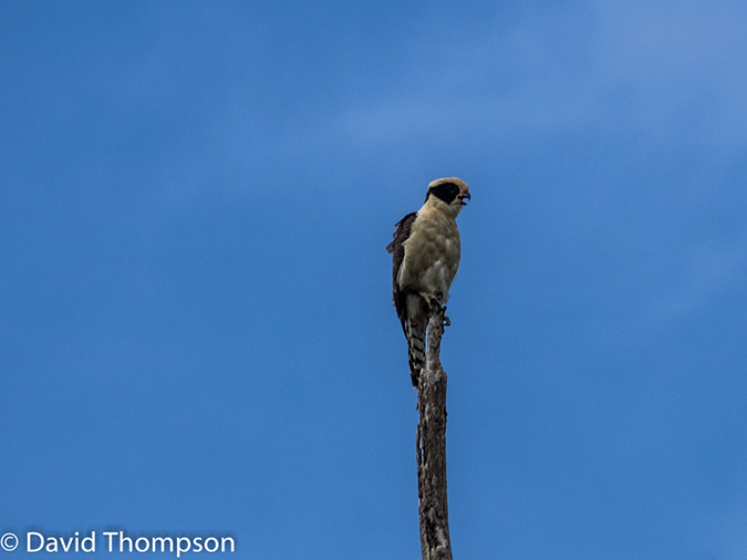 %_tempFileName2015-11_06_01_Arenal-060369%