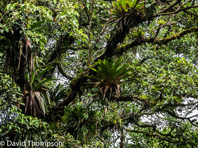 %_tempFileName2015-11_06_01_Arenal-060374%