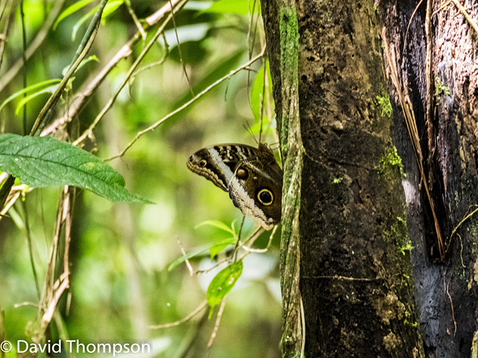 %_tempFileName2015-11_06_01_Arenal-060385%