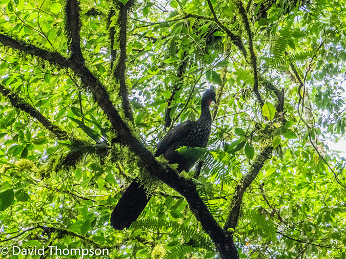 %_tempFileName2015-11_06_01_Arenal-060408%