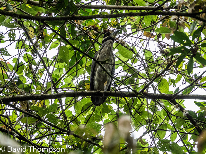 %_tempFileName2015-11_07_01_Arenal-070470%