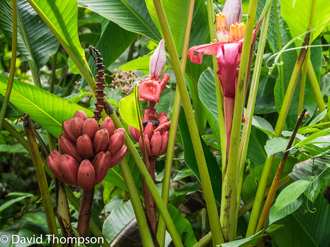 %_tempFileName2015-11_07_01_Arenal-070478%