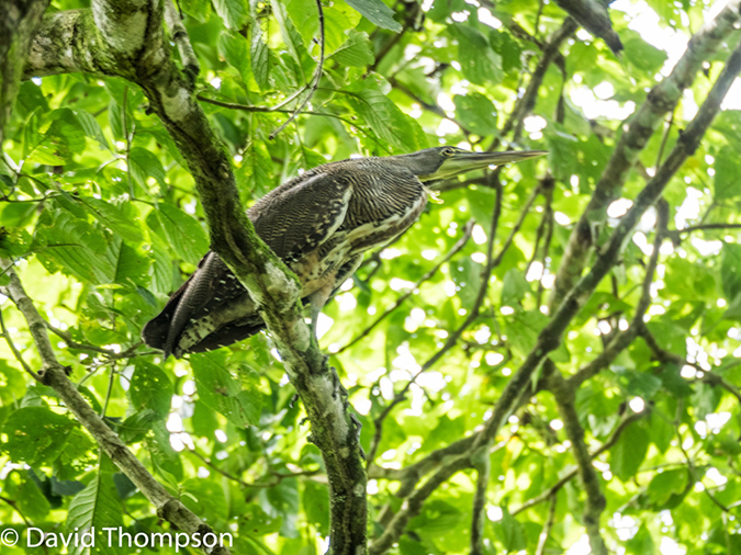 %_tempFileName2015-11_07_01_Arenal-070505%