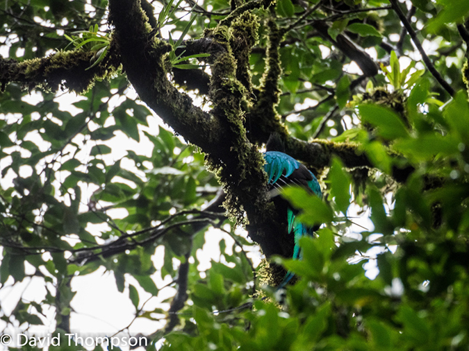 %_tempFileName2015-11_08_01_Monteverde-080561%