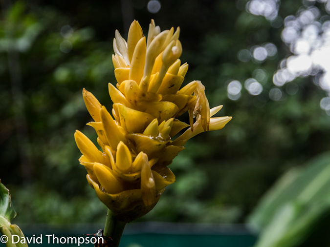 %_tempFileName2015-11_08_01_Monteverde-080662%