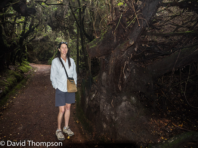 %_tempFileName2015-11_10_01_Poas_Volcano_National_Park-100684%