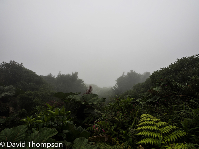 %_tempFileName2015-11_10_01_Poas_Volcano_National_Park-100685%