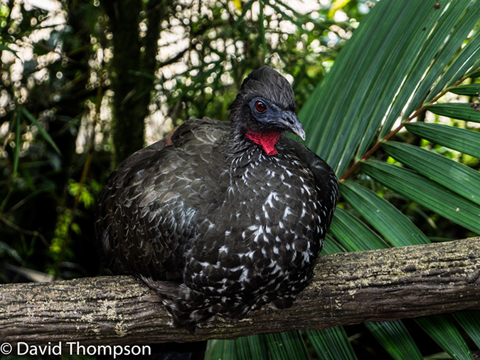 %_tempFileName2015-11_10_02_La_Paz_Gardens-100725%