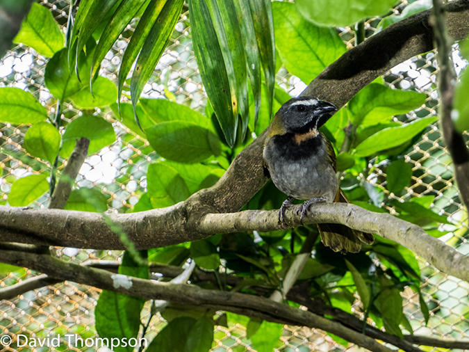 %_tempFileName2015-11_10_02_La_Paz_Gardens-100738%